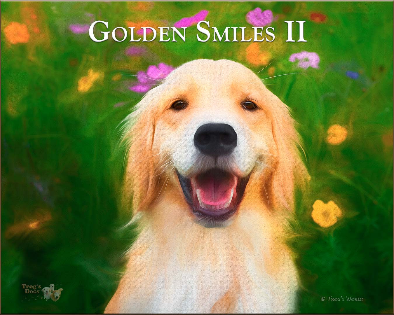 Golden Retriever smiling in the flowers