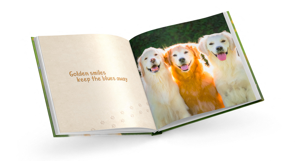 Two pages from Golden Smiles children's book featuring Trog's Dogs