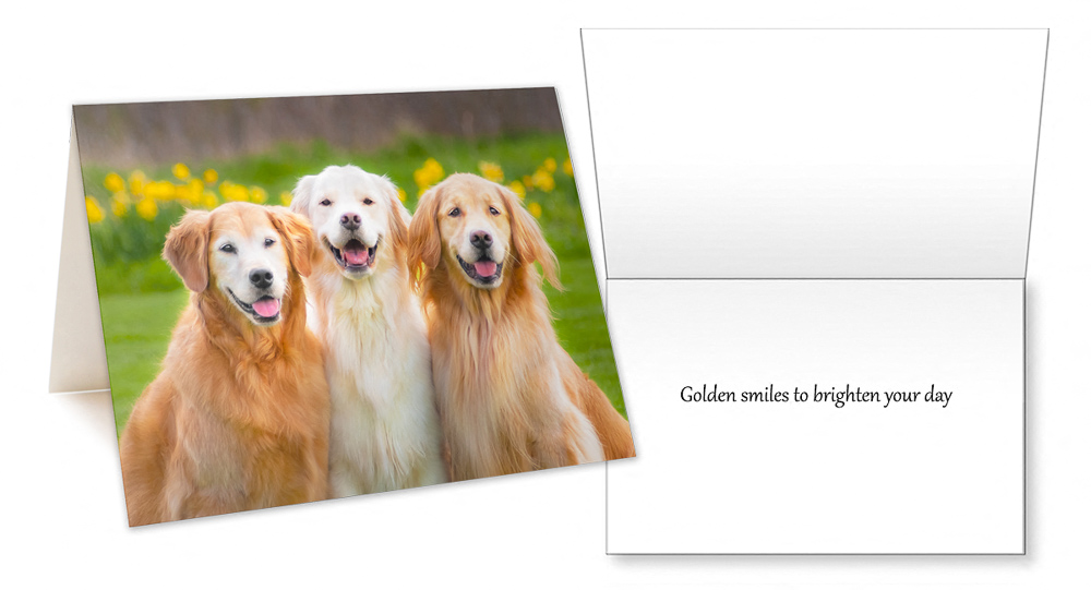 Golden Joy I Golden Smiles Greeting Card