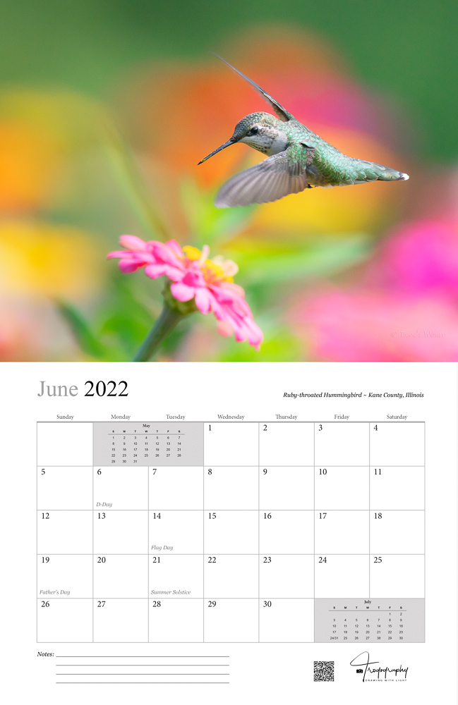 Trogography - Wings of Nature 2022 Wall Calendar