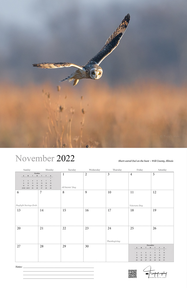 Trogography - Wings of Nature 2022 Wall Calendar