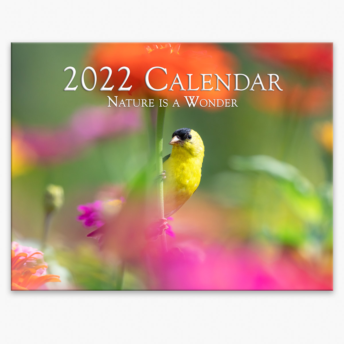 Trogography - Nature is a Wonder 2022 Wall Calendar