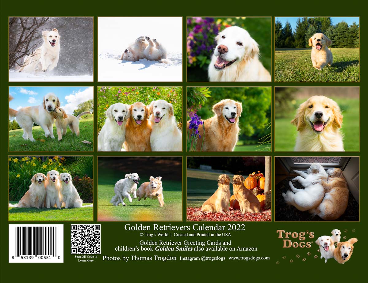 Trog's Dogs - 2022 Golden Retrievers Wall Calendar