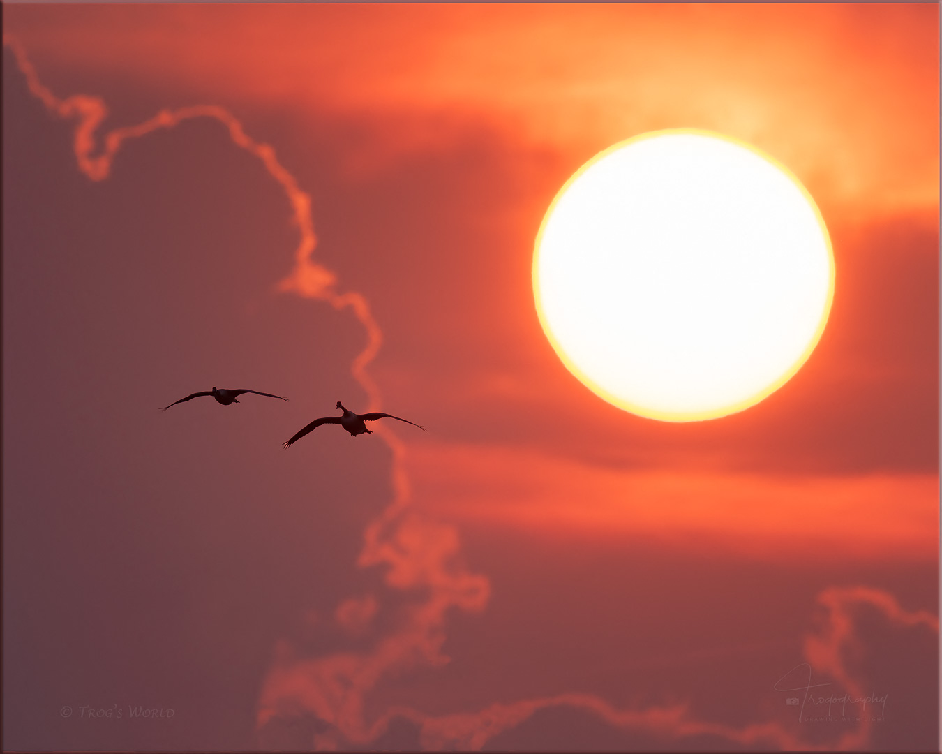 Geese flying and setting sun