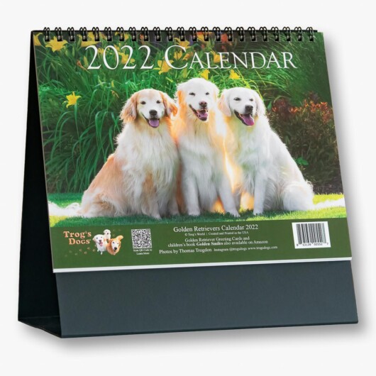 Golden Retrievers Calendar 2022 (Desktop Easel)