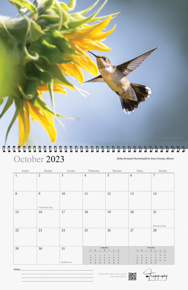 Trogography - Wings of Nature Calendar 2023