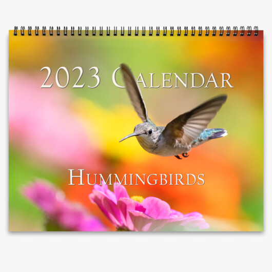 Trogography - Hummingbirds Calendar 2023