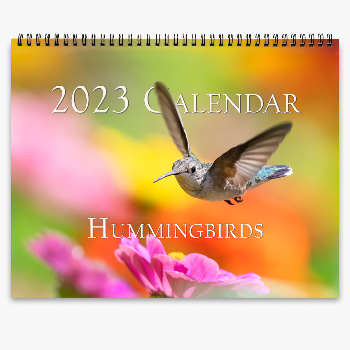Hummingbirds 2023 Calendar Trogography