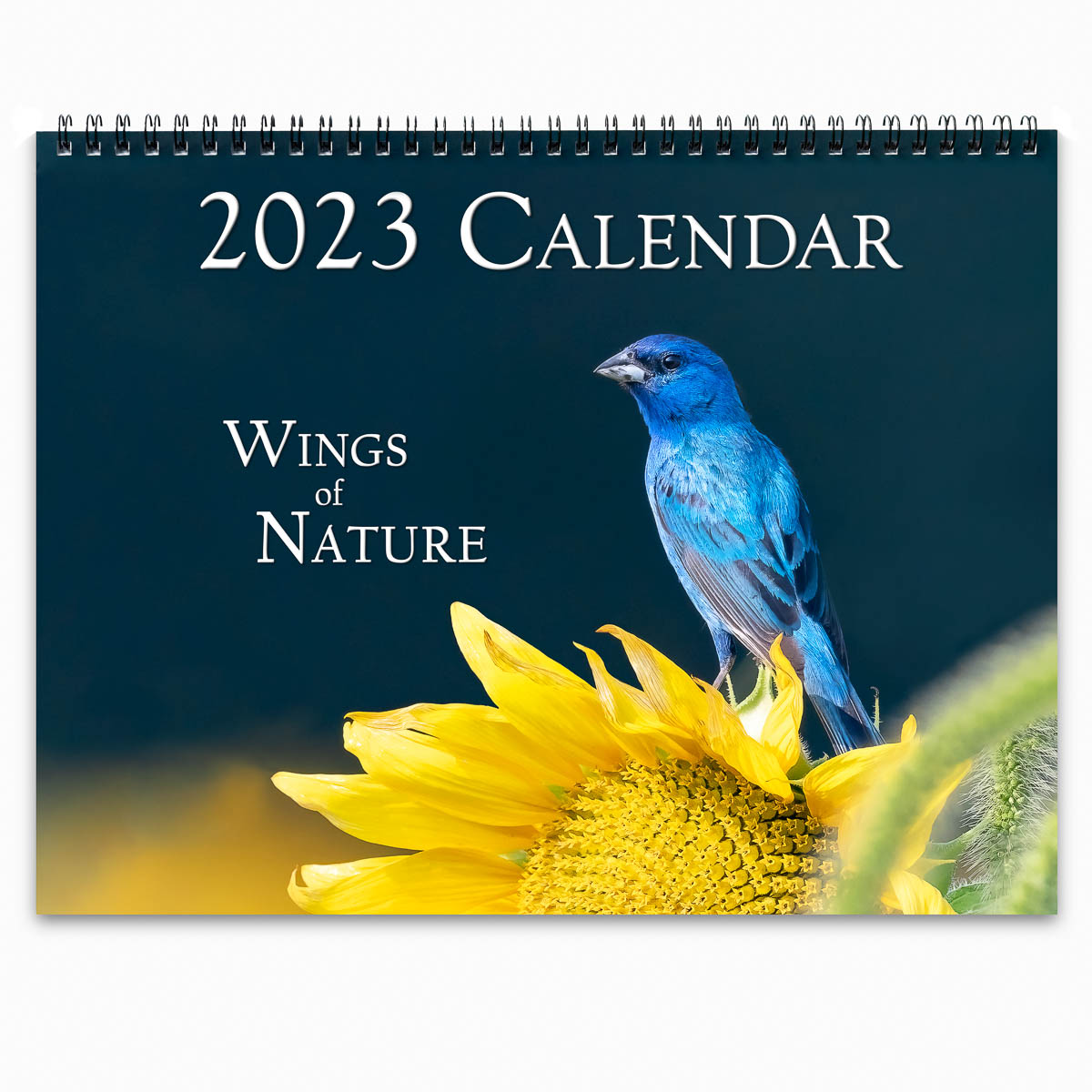 Trogography - Wings of Nature Calendar 2023